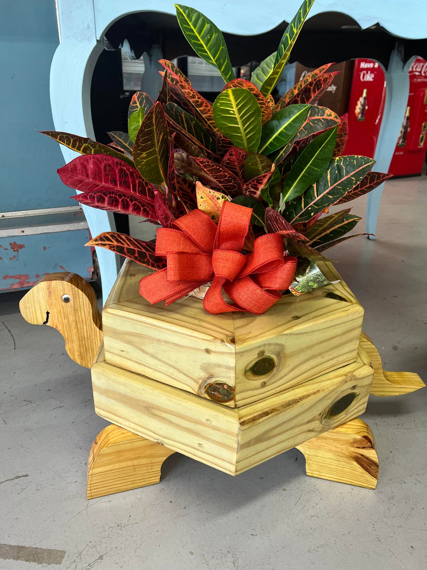Turtle plant holder