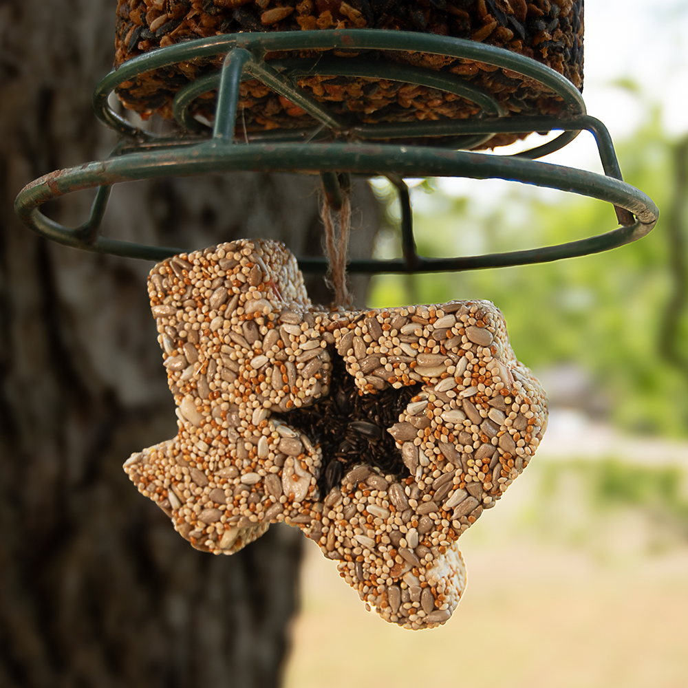 Lone Star Seed Treat